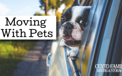 Moving with pets? Here are 10 tips to keep everyone happy.