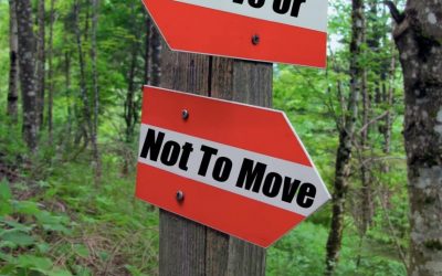 To Move or Not to Move. Should You Relocate?