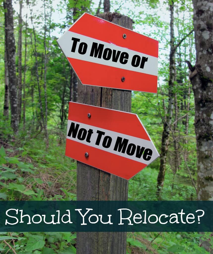 To Move or Not to Move. Should You Relocate?