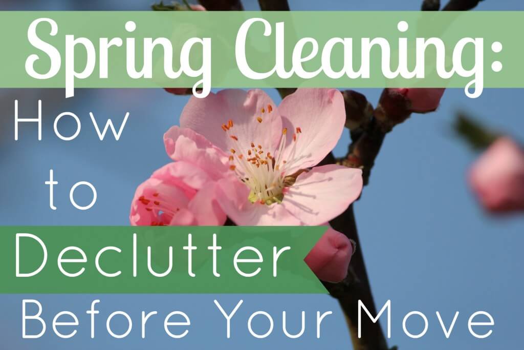 Spring Cleaning. How to Declutter Befor Your Move. Pictured is a pink flower.