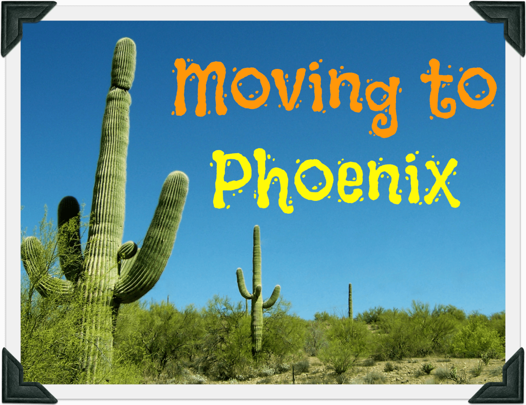 Moving to Phoenix. There are several cacti in the photo