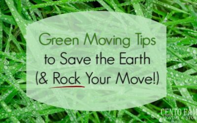 These green moving tips are a surefire way to rock your move while also saving the planet.