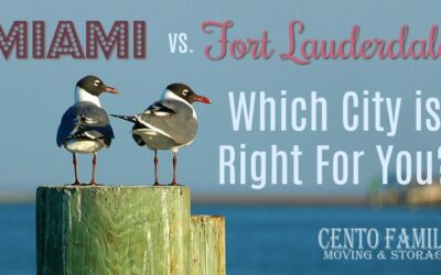 Miami vs. Fort lauderdale: Which City is Right for You?