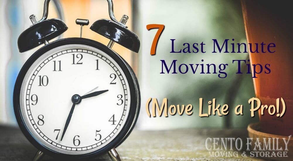 Need to move in a hurry? These last minute moving tips will have you moving like a pro.