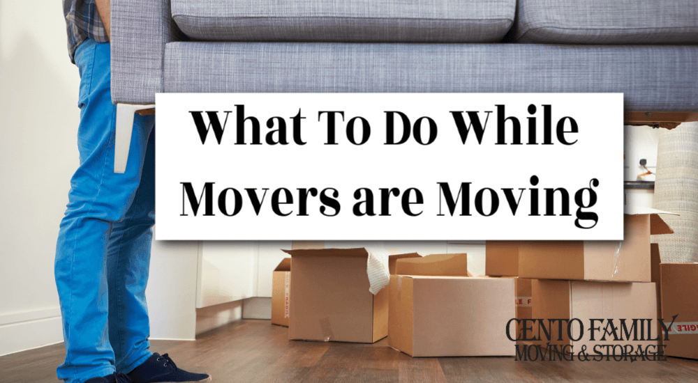 What To Do While Movers Are Moving, How To Pack Dresser Drawers For Moving Boxes