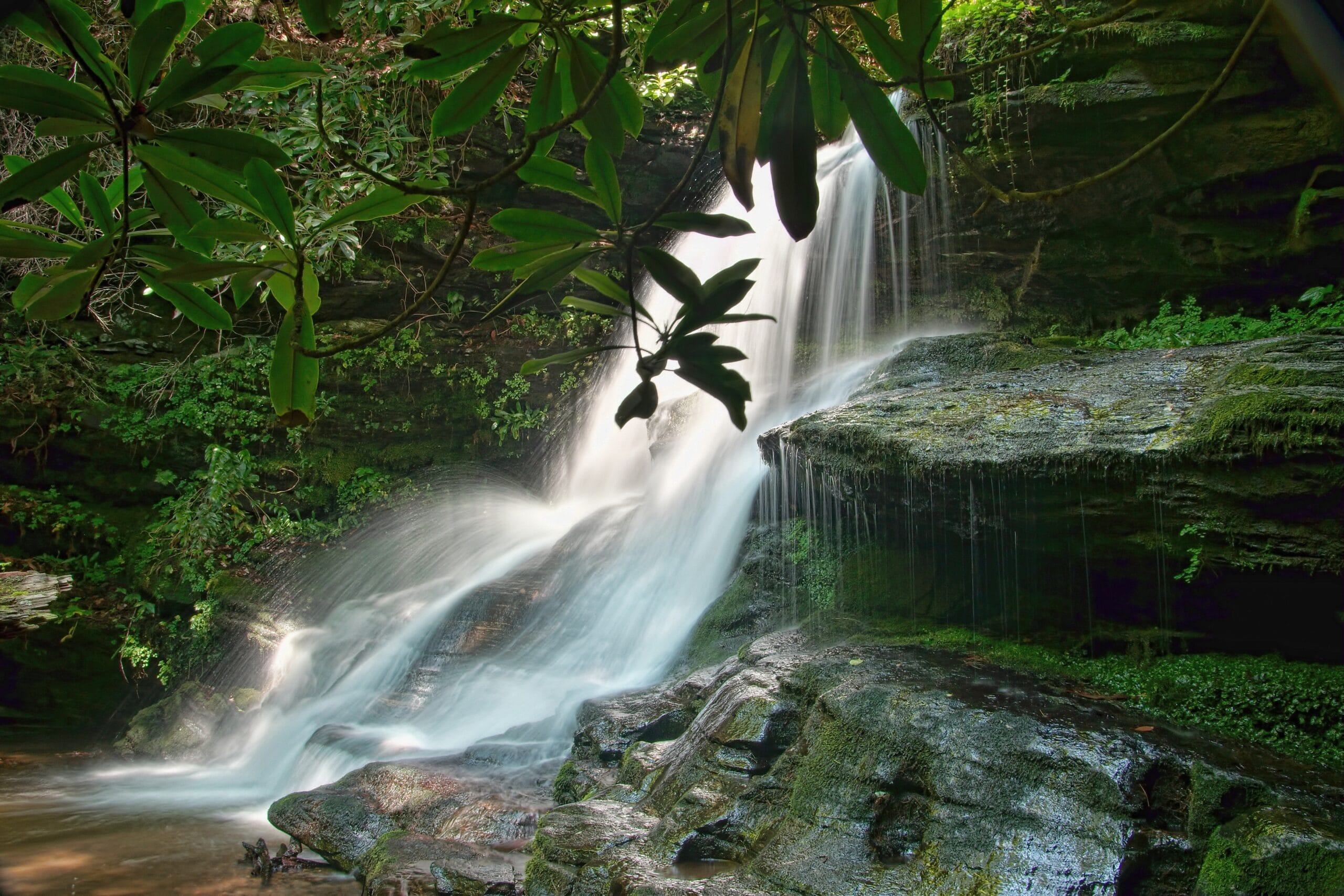 Waterfall on the Warwoman Dell Trail in Georgia