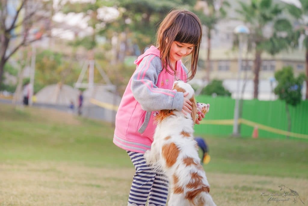 little girl playing outside with dog