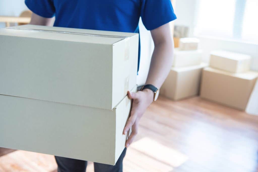 Mover carrying cardboard box