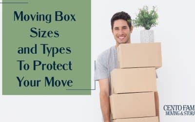 Moving Box Sizes and Types, smiling man holding a stack of boxes with plant on top