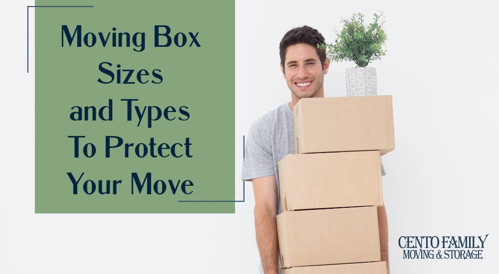 Moving Box Sizes and Types, smiling man holding a stack of boxes with plant on top
